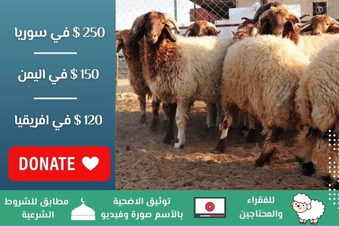 حملة الأضاحي 1446هـ – اليمن، سوريا، وأفريقيا
