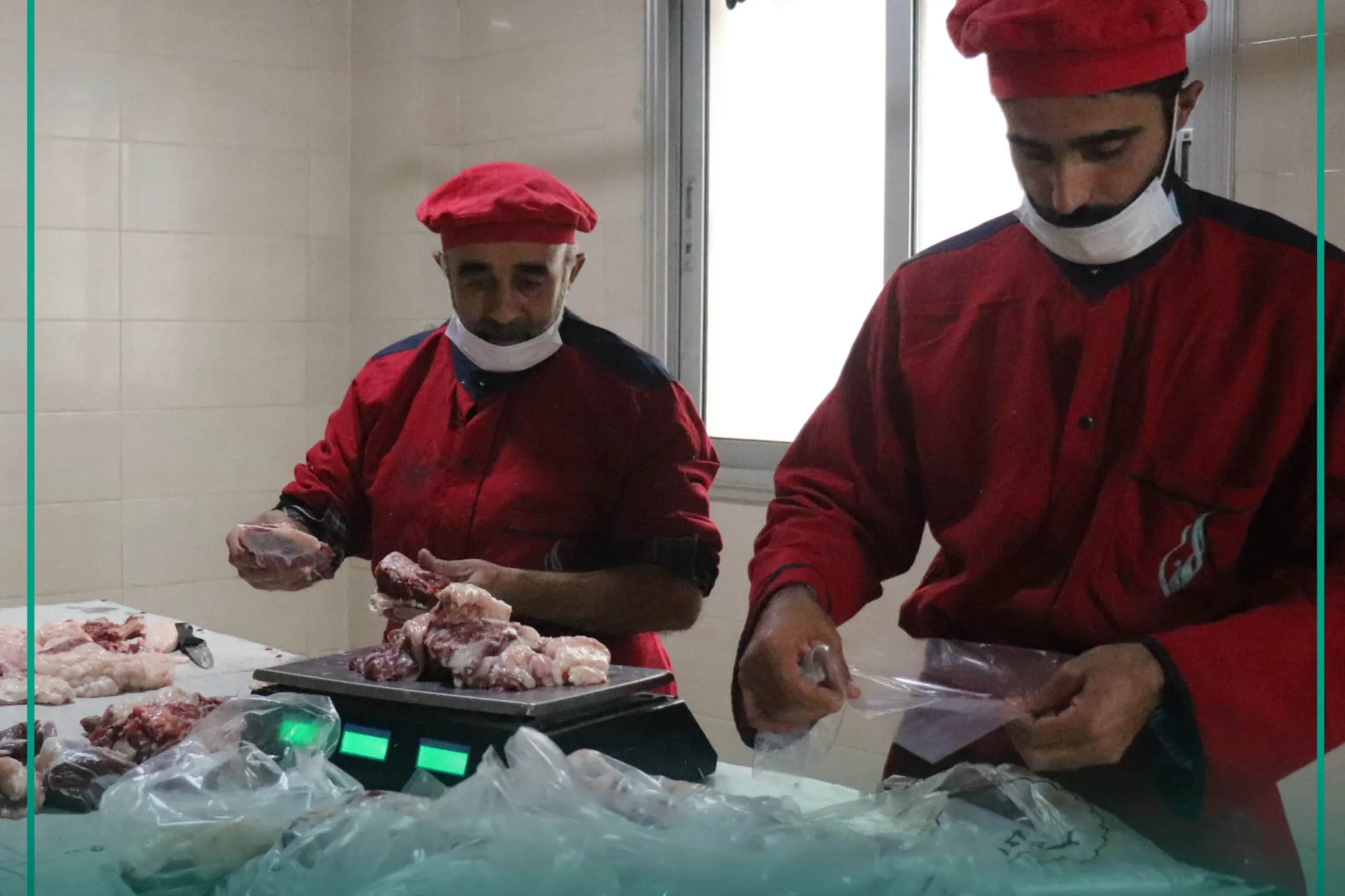 أضحيتك للشام... على سنة الرسول ﷺ